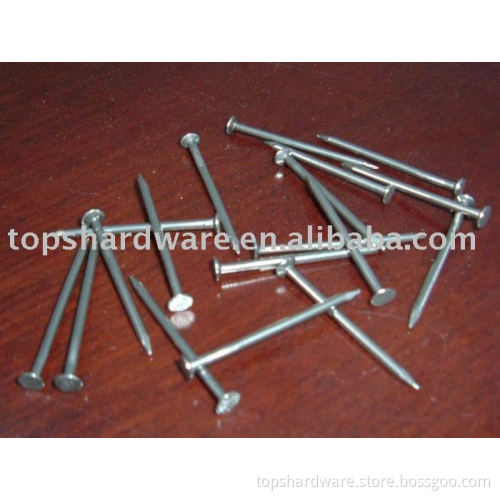 Bulk polished Nails/concrete nails from china